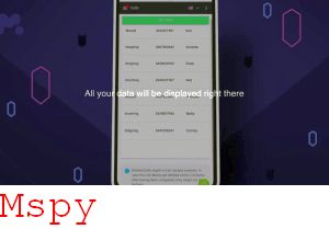 Googlr Mspy